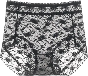 Heevina High Waisted Underwear For Women Lace Sexy Full Coverage Shaping Panty Panties Tummy Control Soft Seamless